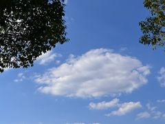 -苏州东太湖生态园
