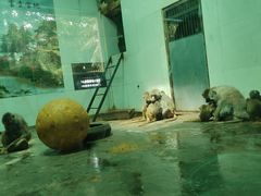 -西安秦岭野生动物园