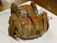 太湖清水蟹熟醉蟹-呼吸森林·生态农庄农家乐私房菜