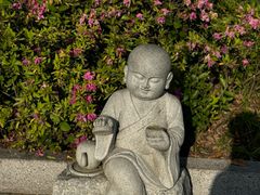 -大明寺素斋