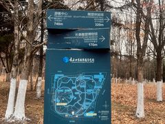 -长春世界雕塑园冰雪艺术天地