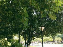 -常州古运河南大街文化旅游区-人民公园