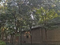 -西安大兴善寺