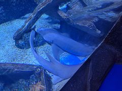-观澜湖生态运动公社