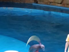 -烟台海昌鲸鲨海洋公园