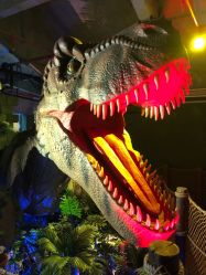 -恐龙探索乐园(磁器口店)