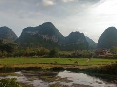 -靖西鹅泉风景区