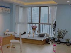 -喵宠乐园·撸猫互动·猫舍