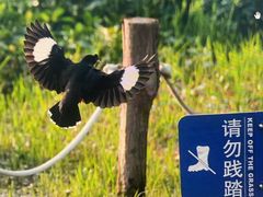 -上海海事大学(临港校区)