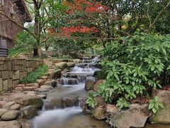 -中国茶叶博物馆(双峰馆区)