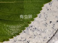 -金碗儿私厨(长阳店)