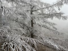 -崂山巨峰游览区
