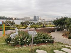 -立新湖公园