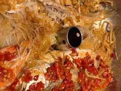 -永红源啤酒·烧烤·海鲜·大排档(青特城店)