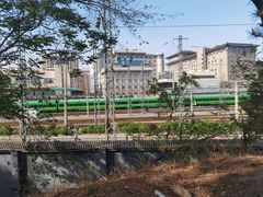 -莲花池公园