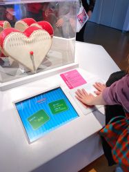 -北京科学中心儿童乐园