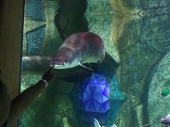 -波塞冬旅游度假区