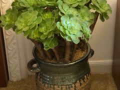 -梵舍·沙浴养生SPA