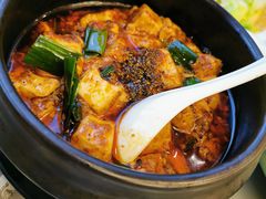 -陈麻婆豆腐总店
