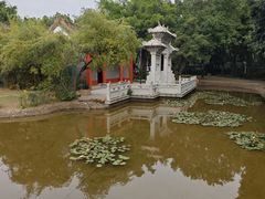 -深圳国际园林花卉博览园