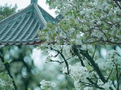 -中山公园