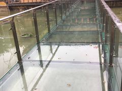 -揭东万竹园旅游景区