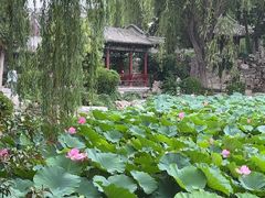 -莲池书院博物馆