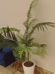 -顺德壹加壹美容医院