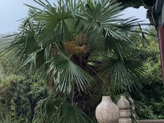 -清真方中山胡辣汤(许昌店)