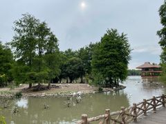 -上海野生动物园