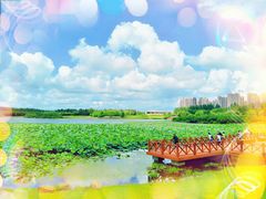 -丁香湖公园
