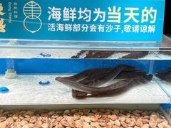 -東盛炭烤自助料理(玄武招商花园城店)