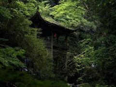 -藏龙百瀑风景区