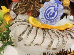 老虎斑-东海怡品海鲜豆捞(舟宿夜江店)