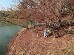 -梁鸿国家湿地公园