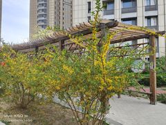 -和平区健康主题公园