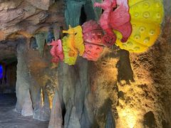 -新加坡水上探险乐园