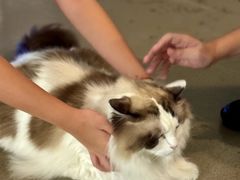 -白兔子密室(长寿路店)