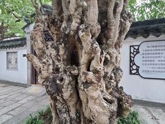 -中山詹园