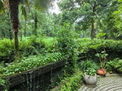 -野蔓果·山野菜(西湖景区·龙井茶田店)