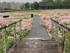 -渌洋湖湿地公园