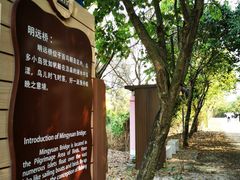 -大湾区中央湿地公园