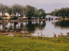 -长春市南湖公园