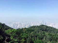 -南山植物园
