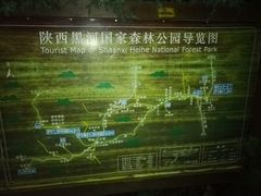 -黑河国家森林公园