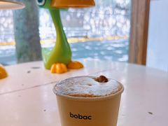 -BOBAC