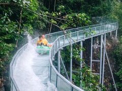 -龙湾潭国家森林公园