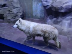 -多彩贵州城极地海洋世界