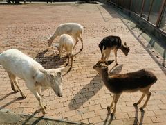 -无锡动物园·太湖欢乐园