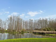 -桤木河湿地公园